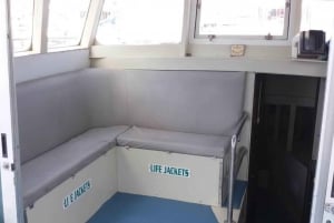 コミノ島：プライベートボートツアー、スイミングストップ、洞窟ツアー