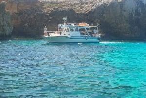 コミノ島：プライベートボートツアー、スイミングストップ、洞窟ツアー