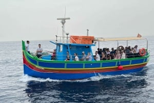 Comino: private charter to Crystal & Blue lagoon & Caves