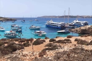 Vanaf Gozo/Mellieha: Comino & Blue Lagoon Mitzi Rondvaart 4u