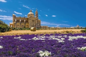 Grotte marine di Comino in motoscafo e biglietto per il bus Hop-On/Off Gozo