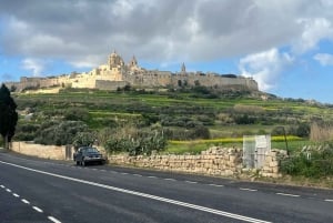 Navios de cruzeiro malta excursões personalizadas de 5 horas