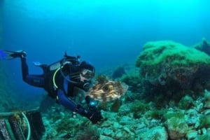 Centre de plongée Dive Malta