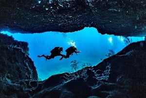 DiveSnap Underwater Sports Thrills: Lantern Point & P31 Wreck