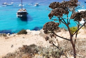 Круиз Fernandes в Голубой лагуну на Комино и Гозо (VTT)