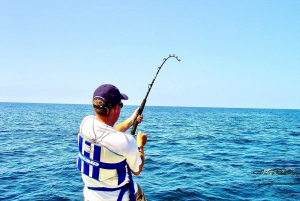 Vistocht: Cominotto eiland, visstekken & Gozo