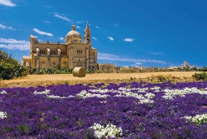 From Bugibba: Gozo Bus Tour and Comino Blue Lagoon Cruise