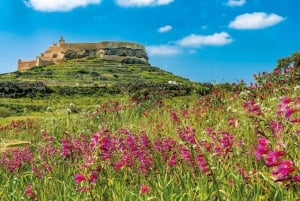 From Bugibba or Sliema: Best of Gozo and Comimo Day Trip
