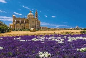 From Malta: Gozo 4x4 Buggy Tour with Lunch and Transfers