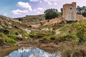 From Malta: Gozo 4x4 Buggy Tour with Lunch and Transfers