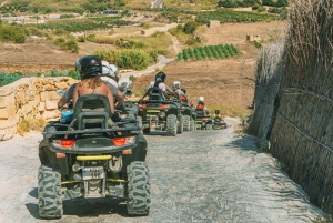 Z Malty: Gozo i Comino: całodniowa wycieczka buggy z lunchem