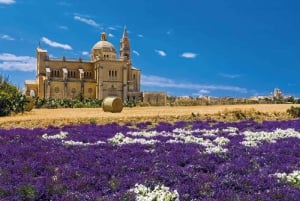 From Malta: Gozo Full-Day Tour with Guide, Temples, & Train