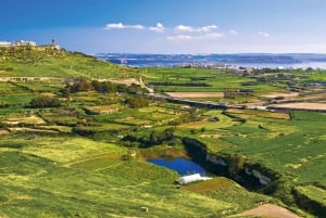 Fra Malta: Jeeptur til Gozo med lunsj og hotelltransport