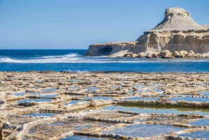 Fra Malta: Gozo-tur med entrébillet til Ggantija-templerne