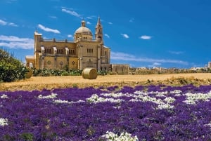 From Malta: Gozo Tuk-Tuk Tour with Comino Mini Cruise