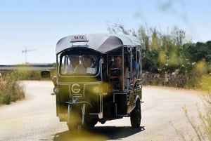 From Malta: Gozo Tuk-Tuk Tour with Comino Mini Cruise