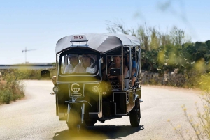 From Malta: Gozo Tuk-Tuk Tour with Comino Mini Cruise