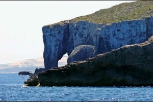Från Malta: Seglingstur till Malta, Gozo och Comino tre öar