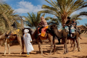 From Marrakech: 4 Days 3 Nights Desert Tour