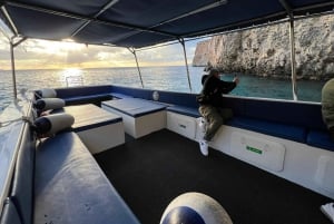 Malta: Gozo, Grotten, Blauwe & Kristallen Lagunes Halve Daagse Cruise