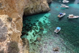Mellieha: Crociera con acqua intorno a Comino, Laguna Blu e Gozo