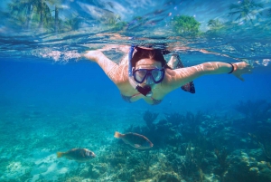 Mellieha: Crociera con acqua intorno a Comino, Laguna Blu e Gozo