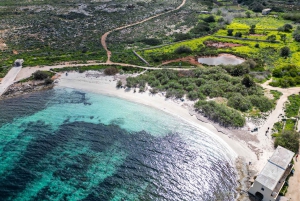 Mellieha: Crociera con acqua intorno a Comino, Laguna Blu e Gozo