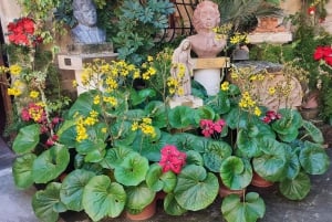 Из Мосты: обзорная экскурсия по Мосте с обедом «шведский стол»