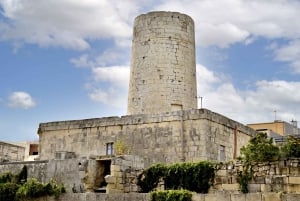 Из Мосты: обзорная экскурсия по Мосте с обедом «шведский стол»