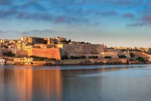 Vanuit Pozzallo: dagvullende tour met gids naar Malta met catamaran