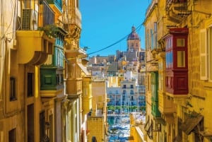 Vanuit Pozzallo: dagvullende tour met gids naar Malta met catamaran