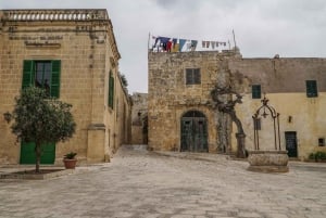 Vanuit Rabat: Mdina en Mosta privé-eetreis