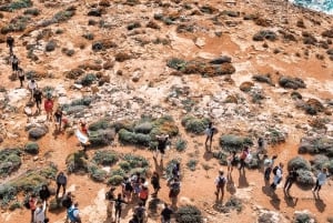 From Sliema: Comino & Blue Lagoon tour with Boat Ride