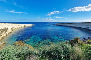 Vanuit Sliema: zondagse wandeltocht – ontdek de natuur van Malta