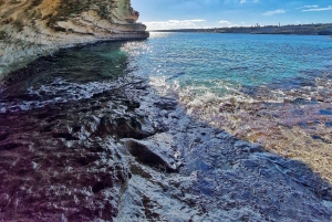 Vanuit Sliema: zondagse wandeltocht – ontdek de natuur van Malta