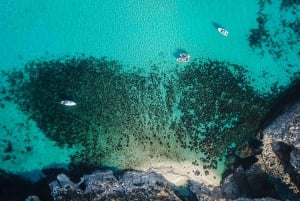 From St. Julian's: Comino and Blue Lagoon Trip by Speedboat