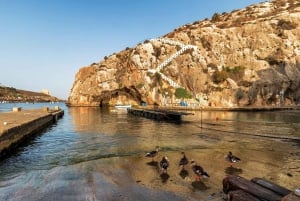 Julian's : Gozo, Comino et Blue Lagoon en bateau à moteur