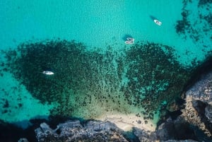 De St. Julian's: Gozo, Comino e Lagoa Azul em um barco a motor