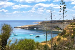 Fra St. Julian's: Jetski-safari til den sydlige del af Malta
