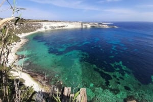 Fra St. Julian's: Jetski-safari til den sydlige del af Malta