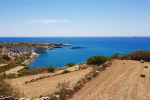 Fra St. Julian's: Jetski-safari til den sydlige del af Malta