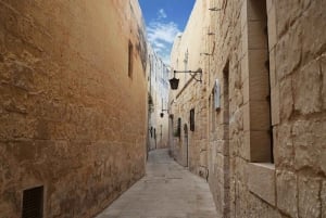 Tour privato di un giorno intero intorno all'isola di Malta