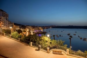 Heldagstur till den maltesiska ön