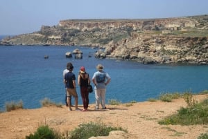 Heldagstur på den maltesiske øya