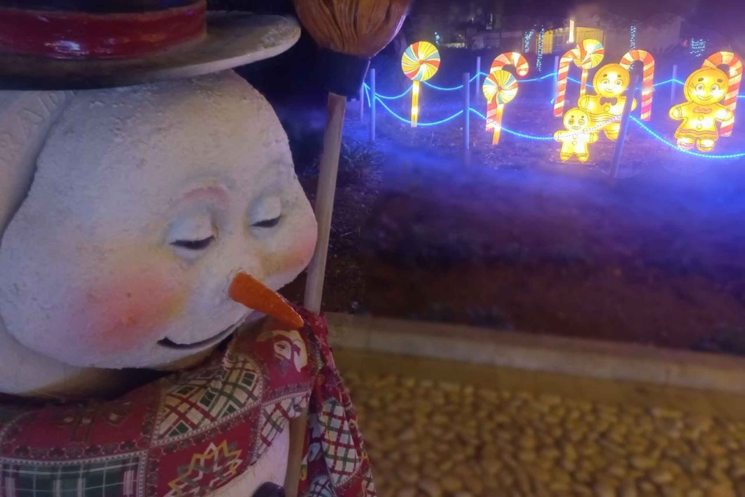 Gozon joulun jeeppi- ja mönkijäkierros