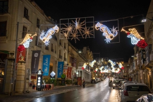 Gozon joulun jeeppi- ja mönkijäkierros