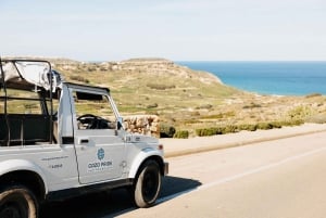 Gozo: Skreddersydd privat guidet jeeptur med lunsj