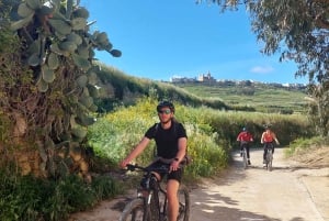 Gozo: Sähköpyöräopastettu kierros