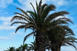 غوزو: جولة خاصة ليوم كامل من مالطا