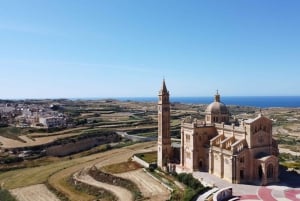 ゴゾ - ファンタスティック・デイトリップ